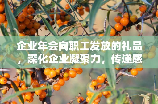 企业年会向职工发放的礼品，深化企业凝聚力，传递感恩之情