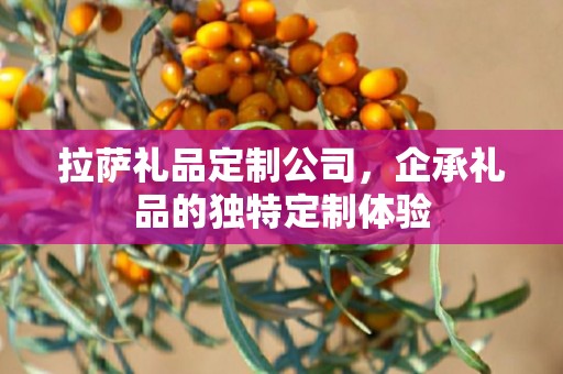 拉萨礼品定制公司，企承礼品的独特定制体验