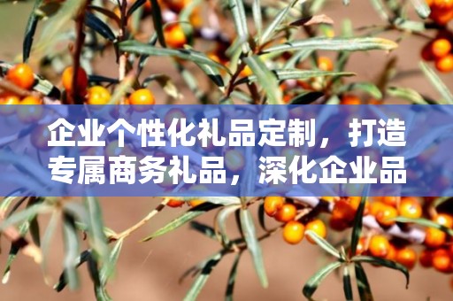 企业个性化礼品定制，打造专属商务礼品，深化企业品牌印象