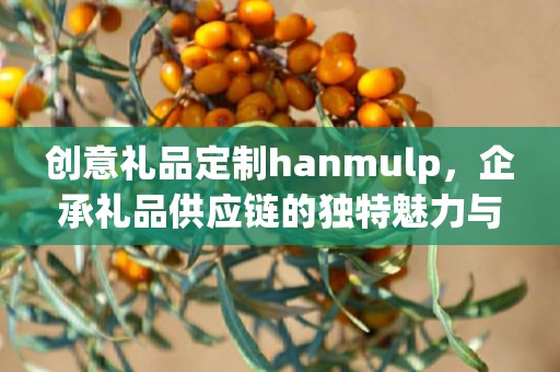 创意礼品定制hanmulp，企承礼品供应链的独特魅力与定制化体验