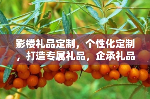 影楼礼品定制，个性化定制，打造专属礼品，企承礼品供应链助力商业推广
