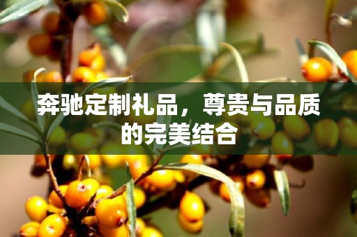 奔驰定制礼品，尊贵与品质的完美结合