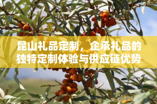 昆山礼品定制，企承礼品的独特定制体验与供应链优势